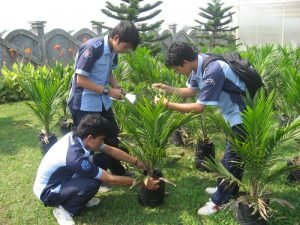 4 Kegiatan Kampus Yang Berguna Untuk Para Mahasiswa